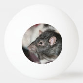 Rat Tischtennisball (Rückseite)