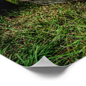 Rat Truck Poster (Ecke)