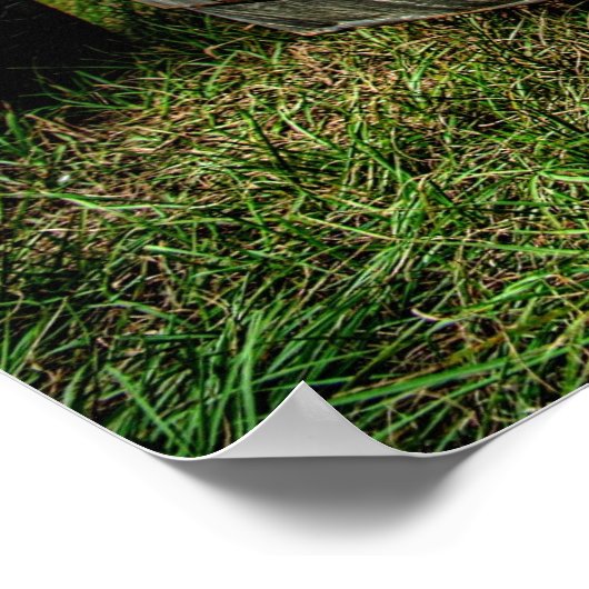 Rat Truck Poster (Ecke)