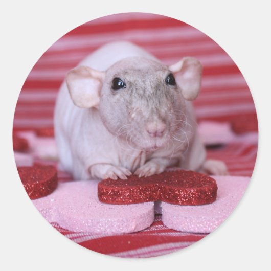Rat Valentine Stickers (Vorderseite)