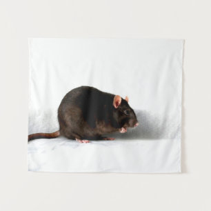 Rat wtcna wandteppich