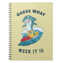 Rate mal, in welcher Woche ist der Sonnenhai Vinta