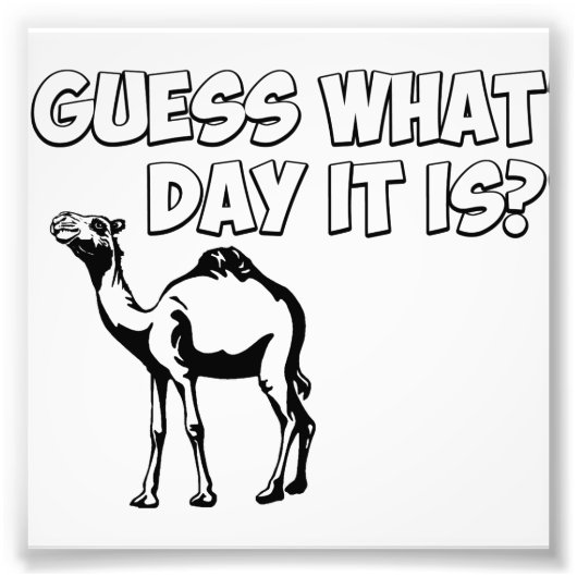 Rate mal, was für ein Tag es ist? Hump Day Camel Fotodruck (Vorne)