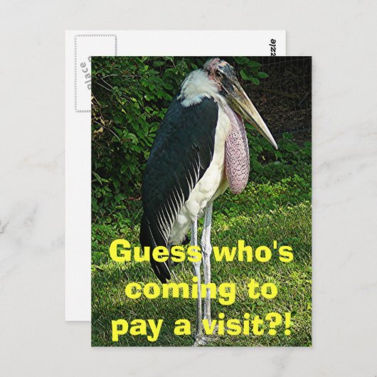 Rate mal, wer kommt, um einen Besuch zu machen?! Postkarte (Vorne/Hinten)