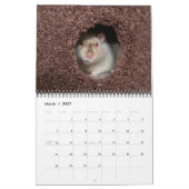 Ratenkalender Kalender (Mär 2027)