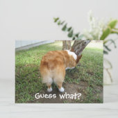 Ratet mal, was Corgi Hintern Funny Dog Lover Karte (Stehend Vorderseite)