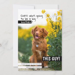 Ratet mal, wer wird ein großer Bruder/eine große S Einladung