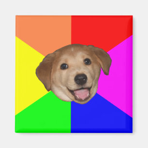 Ratgeber Magnet