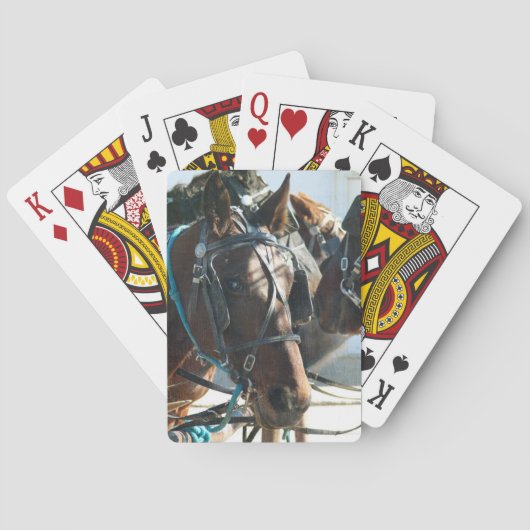Rathaustreffen Buggy Pferde Spielkarten (Rückseite)