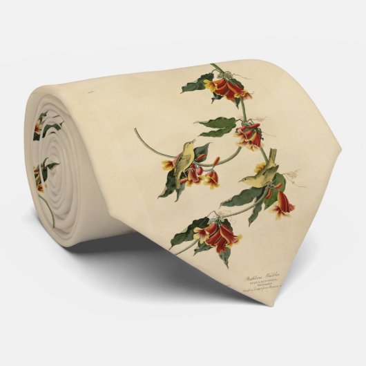 Rathbone (gelb) Warbler Audubon Birds of America Krawatte (Gerollt)