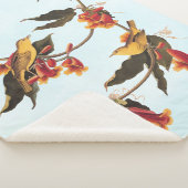 Rathbone's Warbler Song Bird auf Crossvine Fleece  Sherpadecke (3/4)