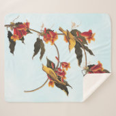 Rathbone's Warbler Song Bird auf Crossvine Fleece  Sherpadecke (Vorderseite (Horizontal))