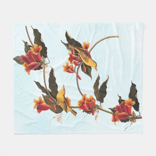 Rathbone's Warbler Song Bird auf der Kreuzung Fleecedecke (Vorderseite (Horizontal))