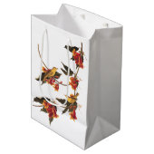 Rathbone's Warbler Song Bird auf der Kreuzung Mittlere Geschenktüte (Vorderseite Schrägansicht)