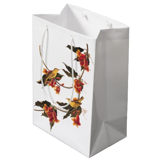 Rathbone's Warbler Song Bird auf der Kreuzung Mittlere Geschenktüte (Rückseite Schrägansicht)