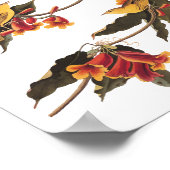 Rathbone's Warbler Song Bird auf der Kreuzung Poster (Ecke)