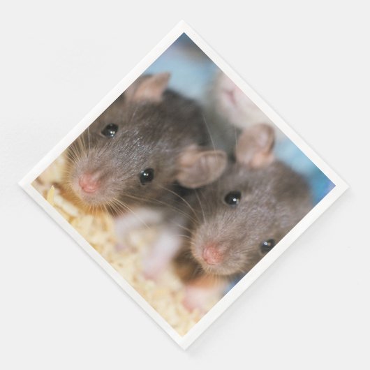 Ratlings Serviette (Ecke)