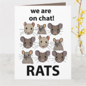 Rats Animal, das wir auf Chat sind Funny Rats Karte (Gelbe Blume)