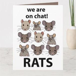 Rats Animal, das wir auf Chat sind Funny Rats Karte
