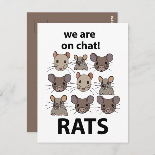 Rats Animal, das wir auf Chat sind Funny Rats Postkarte (Vorne/Hinten)
