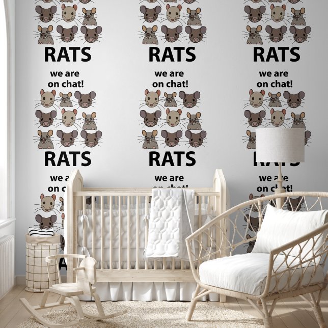 Rats Animal, das wir auf Chat sind Funny Rats Tapete (Kinder)