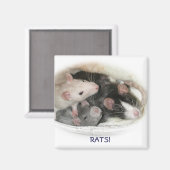 RATS! MAGNET (Vorderseite/Rückseite)