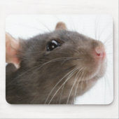 Rats! Mousepad (Vorne)