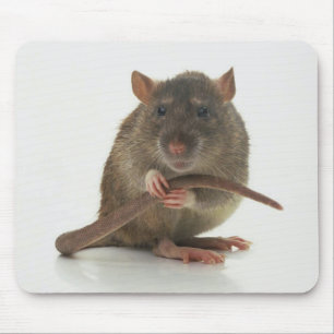 Rats! Mousepad