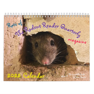 Rats of the Rodent Reader Calendar 2022  Kalender