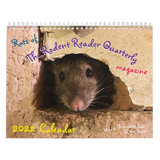 Rats of the Rodent Reader Calendar 2022  Kalender (Titelbild)