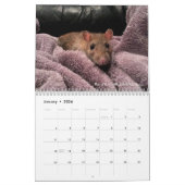 Rats of the Rodent Reader Calendar 2022 Kalender (Jan 2026)