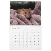 Rats of the Rodent Reader Calendar 2022  Kalender (Jan 2027)