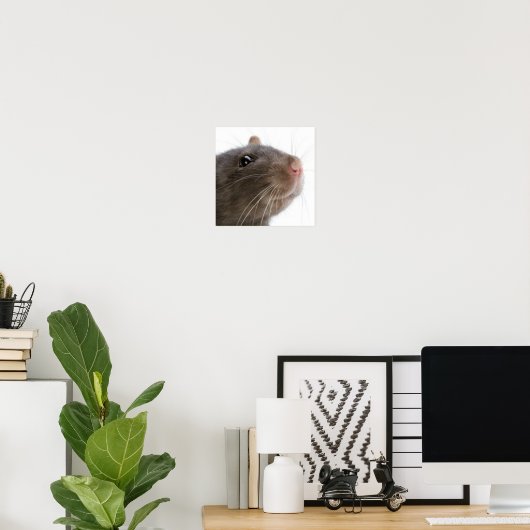 Rats! Poster (Heimbüro)