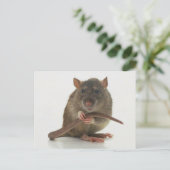 Rats! Postkarte (Stehend Vorderseite)