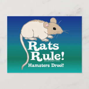 Rats-Regel! Postkarte