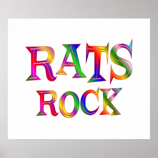 Rats Rock Poster (Vorne)