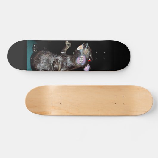 RATS-Skateboard Skateboard (Horizontal)
