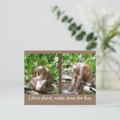 Ratschlag: Das Leben ist kurz, Spaß haben Postkarte (Stehend Vorderseite)