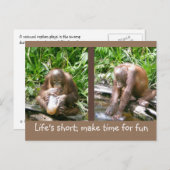 Ratschlag: Das Leben ist kurz, Spaß haben Postkarte (Vorne/Hinten)
