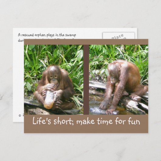 Ratschlag: Das Leben ist kurz, Spaß haben Postkarte (Vorne/Hinten)
