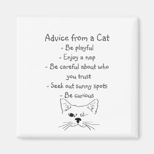 Ratschläge des Winking Cat Fun Animal Spaß Magnet
