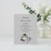 Ratschläge eines Cat Fun Animal Spaßes Postkarte (Stehend Vorderseite)