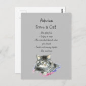 Ratschläge eines Cat Fun Animal Spaßes Postkarte (Vorne/Hinten)