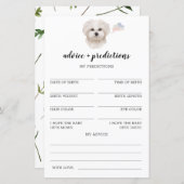 Ratschläge und Vorhersagen zum maltesischen Baby-D (Vorne/Hinten)