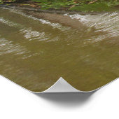 Ratschläge von einem Alligator-Poster Poster (Ecke)