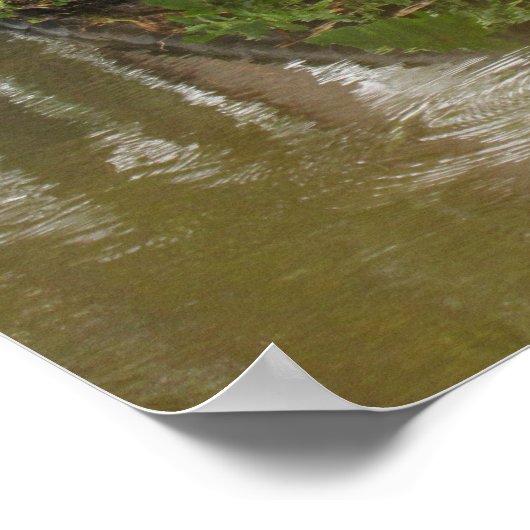 Ratschläge von einem Alligator-Poster Poster (Ecke)