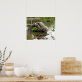 Ratschläge von einem Alligator-Poster Poster (Küche)