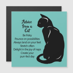 Ratschläge von einem Cat Design Magnet