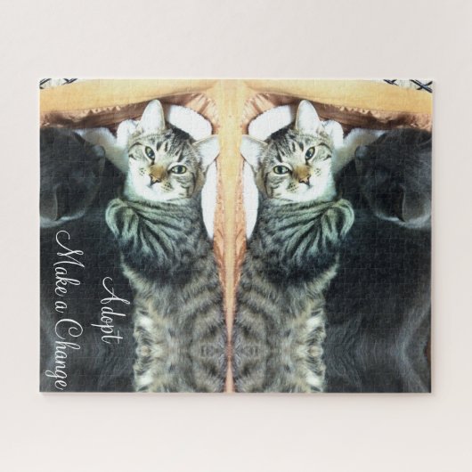 Rätsel Adoptiert Ändern Puzzle (Horizontal)