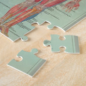 Rätsel - Anatomie Puzzle (Seite)
